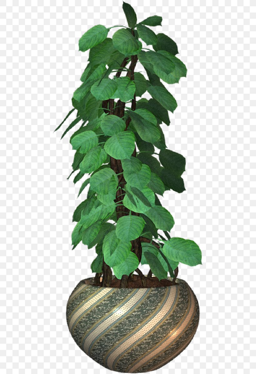 Flowerpot Plant, PNG, 483x1197px, Flowerpot, Digital Image, Herb, Houseplant, Leaf Download Free