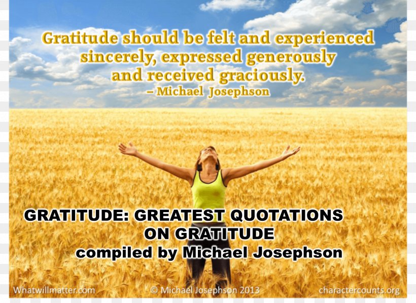 Gratitude Quotation Information Life Happiness, PNG, 1579x1150px, Gratitude, Advertising, Agriculture, Commodity, Crop Download Free