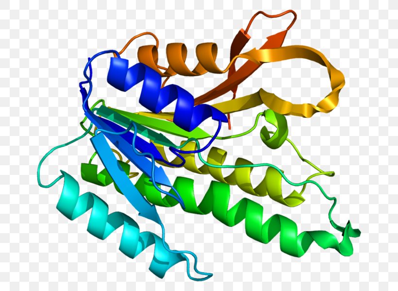 QDPR Phenylalanine Hydroxylase Gene Tyrosine Hydroxylase Tetrahydrobiopterin, PNG, 708x599px, Phenylalanine Hydroxylase, Body Jewelry, Dihydrofolate Reductase, Enzyme, Gene Download Free