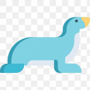 Seals Ocean Zoo - Sea Lion Dog Canidae Pet Clip Art PNG