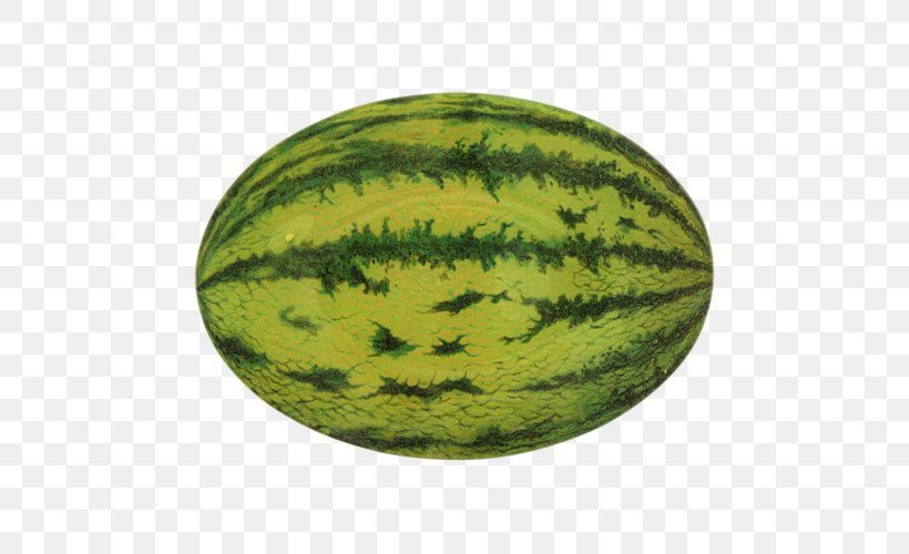 Watermelon Oval Shape Kate Spade New York Tossed Berry Silk Banana Scarf Cream One Size Image, PNG, 500x500px, Watermelon, Berries, Citrullus, Cucumber, Cucumber Gourd And Melon Family Download Free