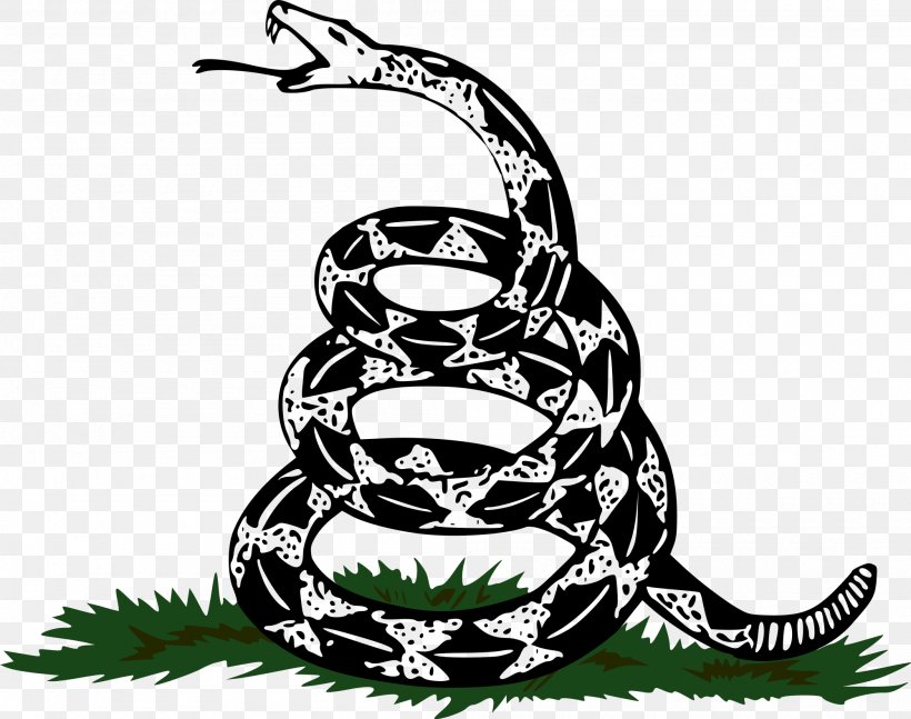 Gadsden Flag Snakes United States Of America Flag Of The United States, PNG, 2000x1579px, Gadsden Flag, Amphibian, Flag, Flag Of The United States, Flags Of The World Download Free