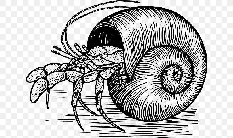 Hermit Crab Decapoda Clip Art, PNG, 640x487px, Crab, Animal, Arthropod, Black And White, Decapoda Download Free