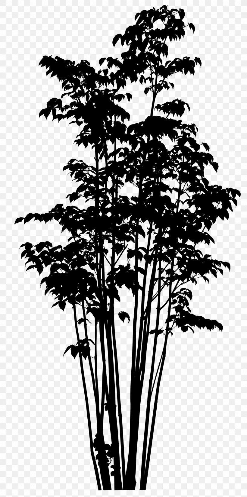 Twig Pine Plant Stem Silhouette Plants, PNG, 1744x3500px, Twig, Bamboo, Blackandwhite, Branch, Flower Download Free