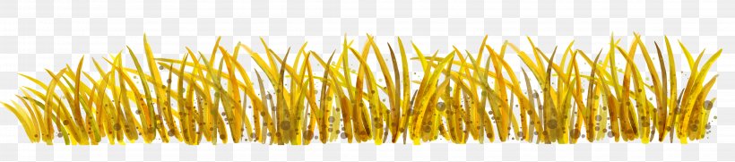 Yellow Commodity, PNG, 4548x1008px, Yellow, Commodity, Grass, Grass Family Download Free