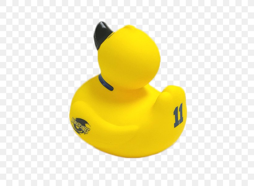 Duck Plastic Technology, PNG, 600x600px, Duck, Beak, Bird, Ducks Geese And Swans, Material Download Free