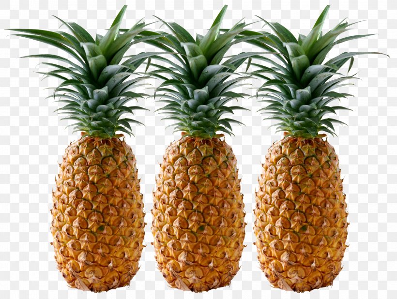 Juice Smoothie Pineapple, PNG, 3352x2528px, Juice, Ananas, Bromeliaceae, Display Resolution, Flowerpot Download Free