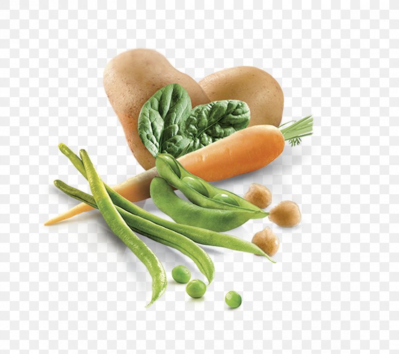 Leaf Vegetable Vegetarian Cuisine Diet Food Recipe, PNG, 1170x1041px, Leaf Vegetable, Carrot, Diet, Diet Food, Food Download Free