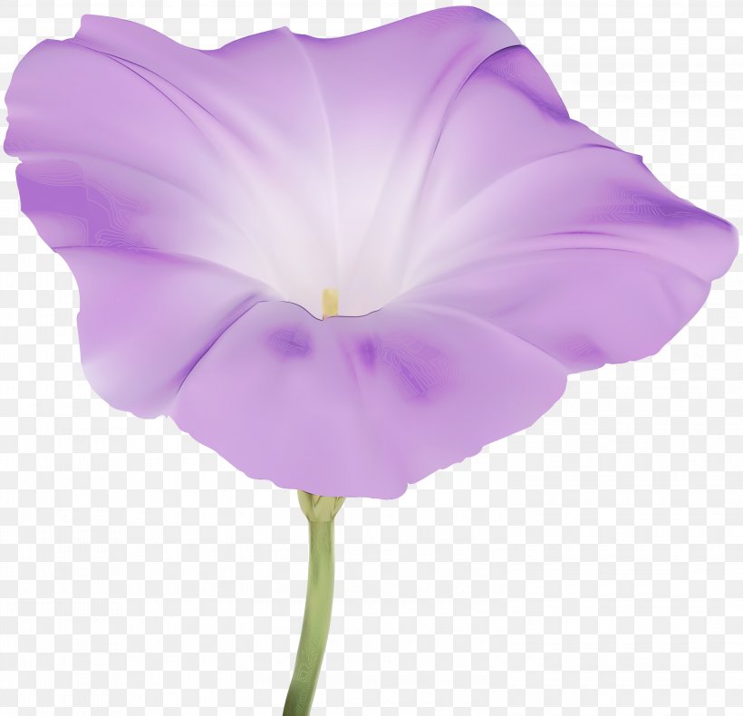 Pink Flower Cartoon, PNG, 3000x2892px, Pansy, Flower, Geranium, Herbaceous Plant, Morning Glory Download Free