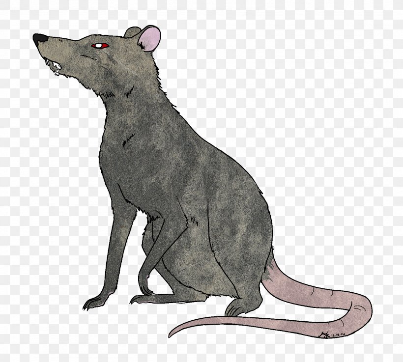 Rat Rodent Mammal Fauna Canidae, PNG, 1564x1407px, Rat, Animal, Art, Canidae, Carnivora Download Free