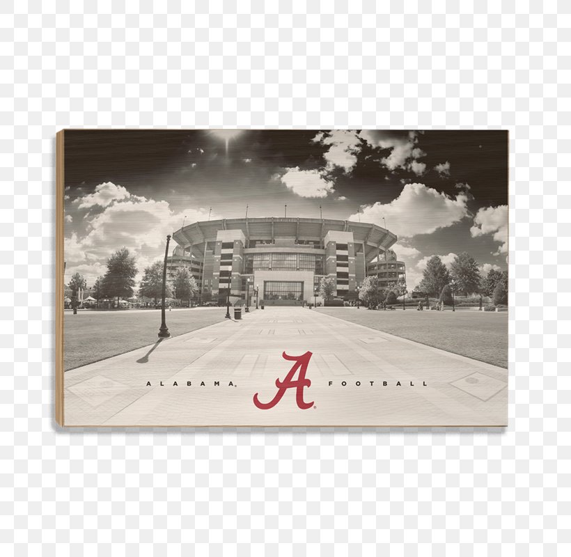 Bryant–Denny Stadium Alabama Crimson Tide Football Painting Art, PNG, 800x800px, Alabama Crimson Tide Football, Alabama, Alabama Crimson Tide, American Football, Art Download Free