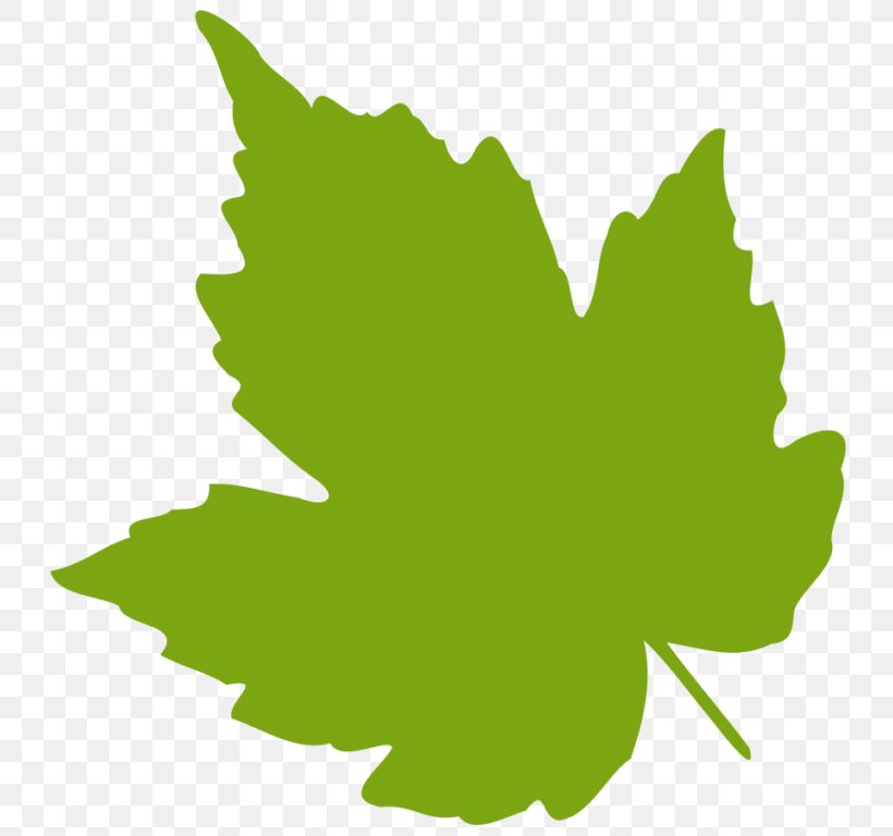 Leaf Green Clip Art, PNG, 768x768px, Leaf, Autumn Leaf Color, Blog, Flowering Plant, Grass Download Free