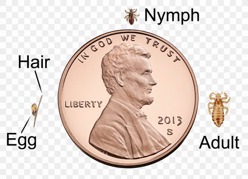 Lincoln Memorial Penny Lincoln Cent Coin Mint, PNG, 873x632px, Lincoln Memorial, Abraham Lincoln, Cash, Cent, Coin Download Free