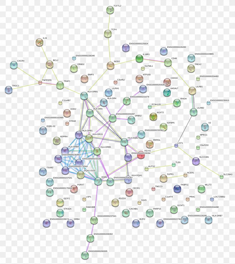 Line Point Diagram, PNG, 1227x1381px, Point, Area, Branch, Diagram, Organism Download Free