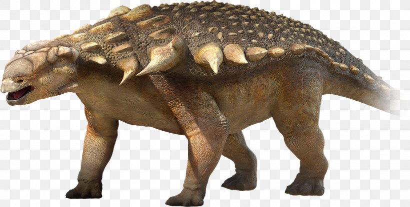 Nodosaurus Ankylosaurus Sauropelta Edmontonia Tyrannosaurus, PNG, 1049x532px, Nodosaurus, Animal Figure, Ankylosauria, Ankylosauridae, Ankylosaurus Download Free