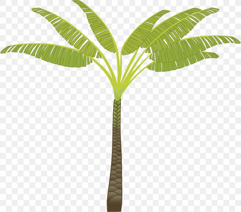 Arecaceae Tree Clip Art, PNG, 999x879px, Arecaceae, Arecales, Cartoon, Cdr, Coconut Download Free