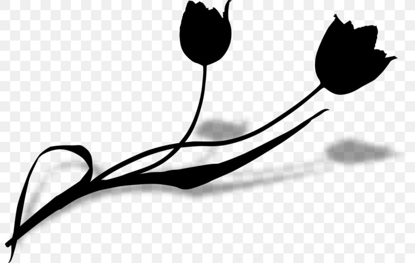 Clip Art Leaf Plant Stem Line Flowering Plant, PNG, 800x519px, Leaf, Blackandwhite, Botany, Branching, Flower Download Free