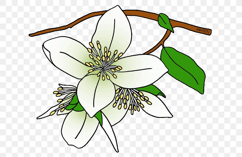 Syringa State Flower Drawing Clip Art, PNG, 648x534px, Syringa, Artwork, Black And White, Branch, Cut Flowers Download Free