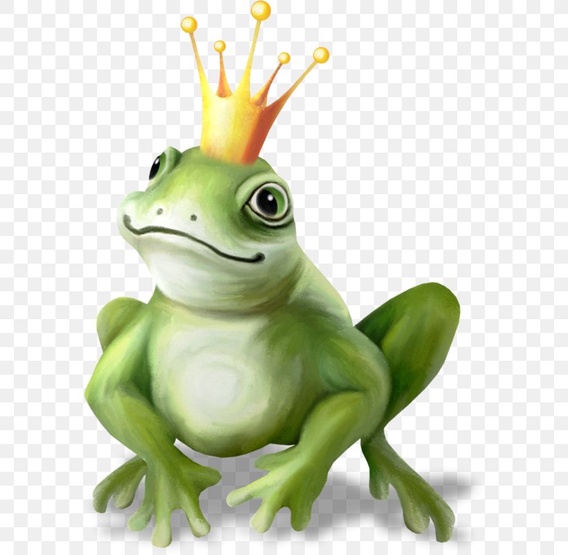 True Frog The Frog Prince Image Drawing, PNG, 581x800px, True Frog, Amphibian, Drawing, Figurine, Folio Illustration Agency Download Free