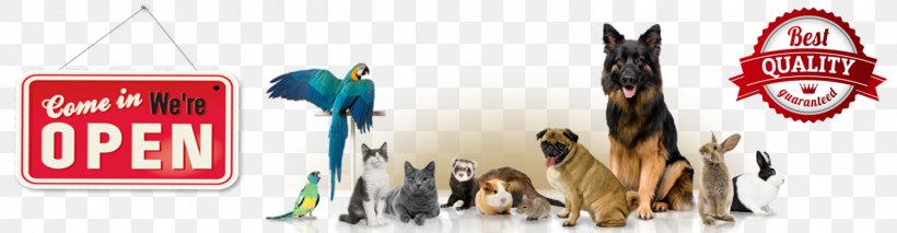 Dog Cat Food Pet Euclid Purina One, PNG, 1500x390px, Dog, Advertising, Animal, Banner, Blessing Of Animals Download Free