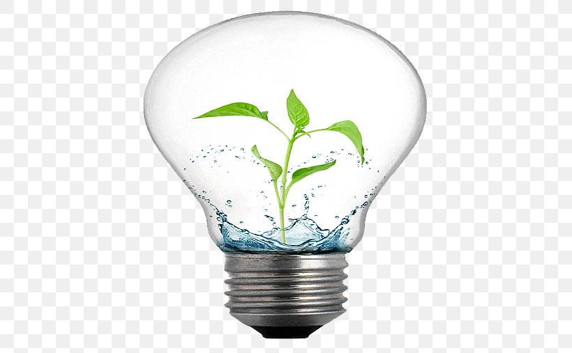 Efficient Energy Use Incandescent Light Bulb Efficiency Idea, PNG, 500x507px, Efficient Energy Use, Creativity, Efficiency, Energy, Energy Consumption Download Free