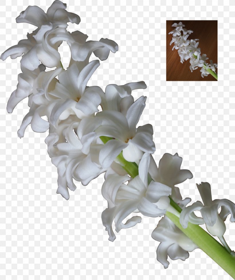 Flower The Neverending Story DeviantArt Hyacinth Plant, PNG, 1024x1221px, Flower, Art, Cut Flowers, Deviantart, Flowering Plant Download Free