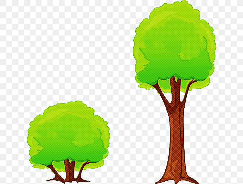 Green Tree Plant Leaf Vegetable Plant Stem, PNG, 640x622px, Green, Leaf Vegetable, Plant, Plant Stem, Tree Download Free