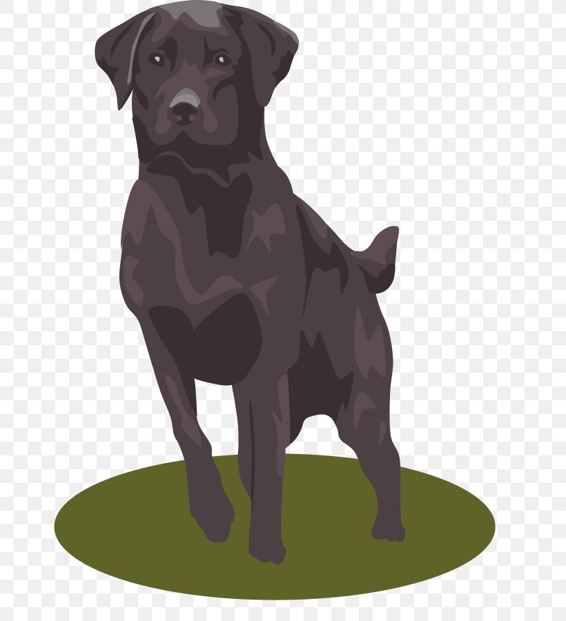 Labrador Retriever Golden Retriever Puppy Clip Art, PNG, 678x900px, Labrador Retriever, Borador, Carnivoran, Companion Dog, Dog Download Free