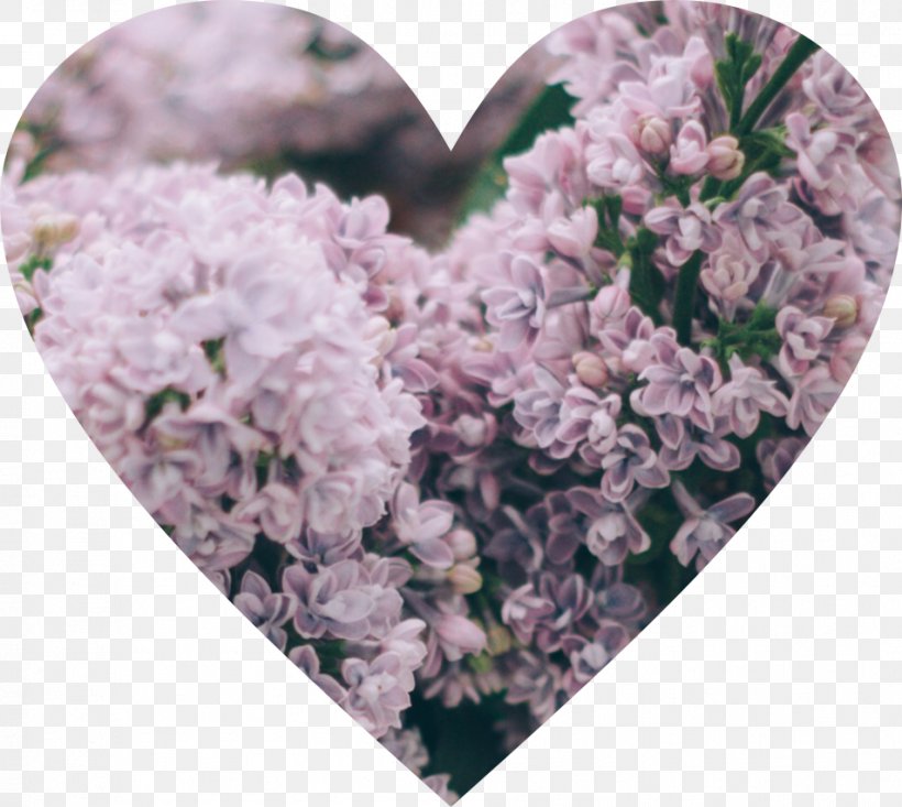 Heart Clip Art Image PicsArt Photo Studio, PNG, 953x853px, Heart, Aesthetics, Blossom, Drawing, Flower Download Free