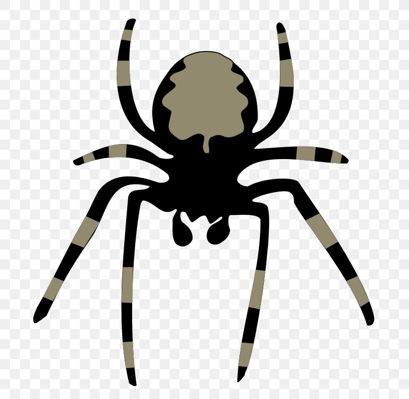 Spider Free Content Website Clip Art, PNG, 724x800px, Spider, Arachnid, Arthropod, Blog, Copyright Download Free