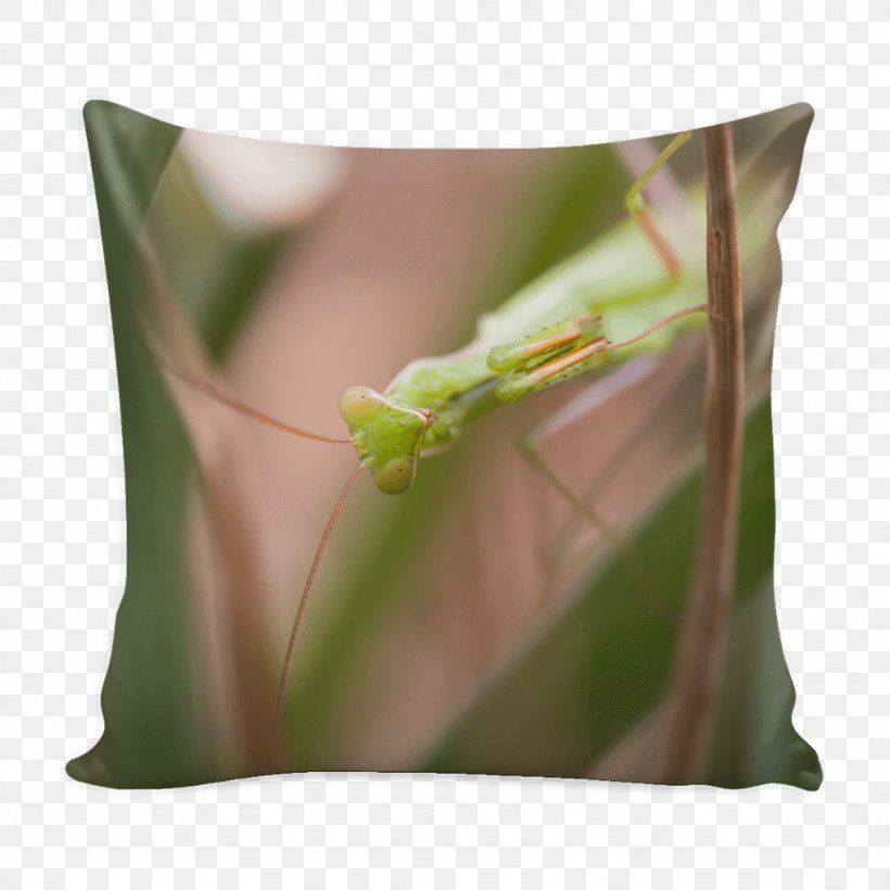 Throw Pillows Cushion Insect Decorative Photo Pillow, PNG, 1024x1024px, Pillow, Bag, Boutique, Centimeter, Clothing Accessories Download Free
