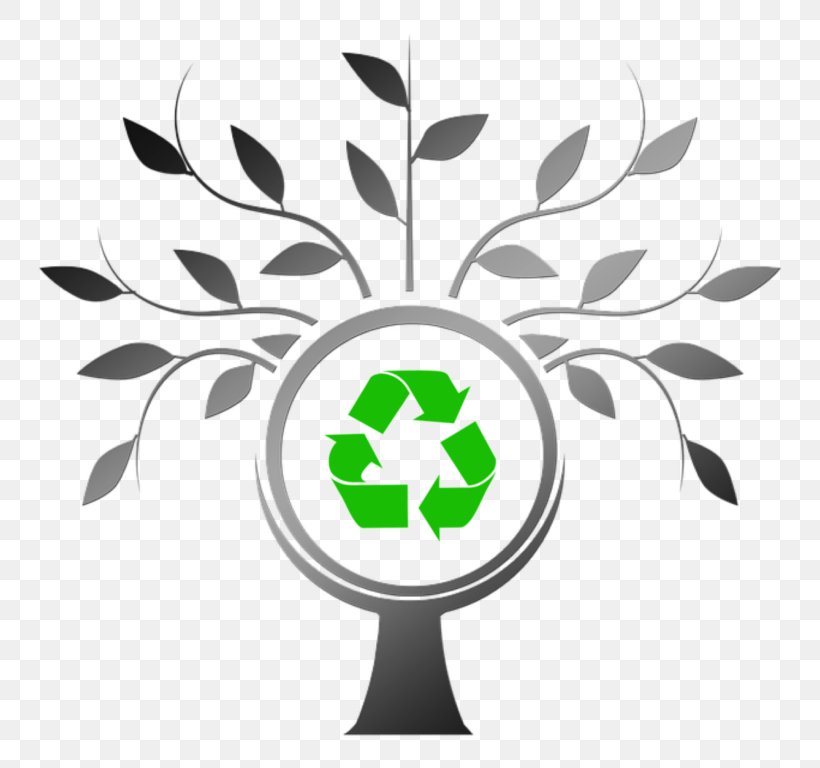 Tree Organization Waste Management Clip Art, PNG, 768x768px, Tree, Aesthetics, Branch, Energy, Flower Download Free