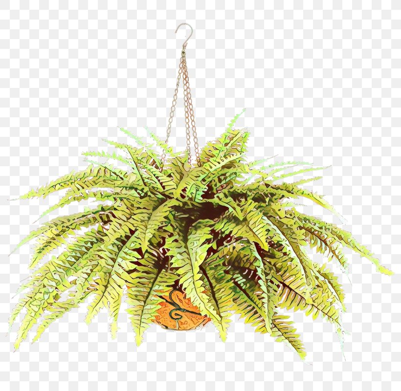 Palm Tree, PNG, 800x800px, Cartoon, Arecales, Elaeis, Fern, Flower Download Free