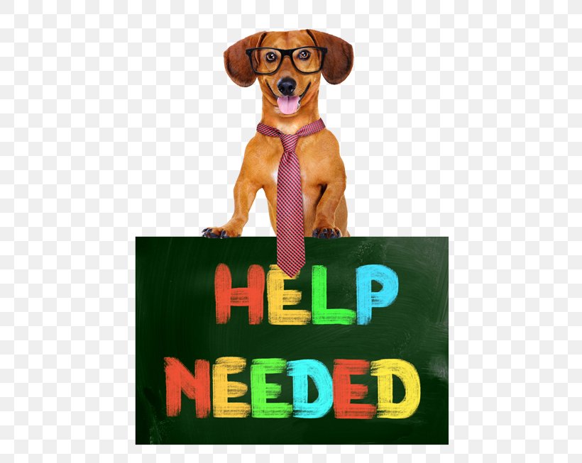 Pet Sitting Beagle Puppy Dog Breed, PNG, 540x653px, Pet Sitting, Animal, Beagle, Canidae, Carnivoran Download Free