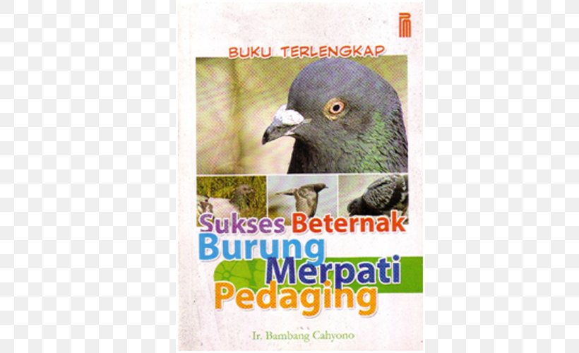 Book Novel Bird Indonesian Food, PNG, 500x500px, Book, Advertising, Beak, Bird, Bird Food Download Free
