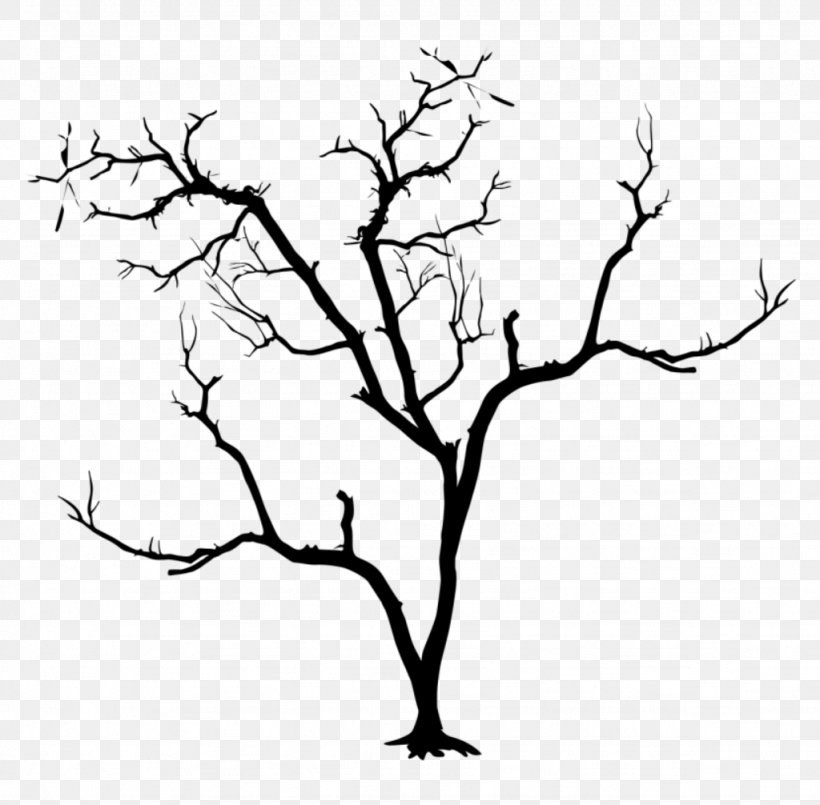 Branch Tree White Leaf Twig, PNG, 1024x1006px, Branch, Blackandwhite, Leaf, Line Art, Plant Download Free