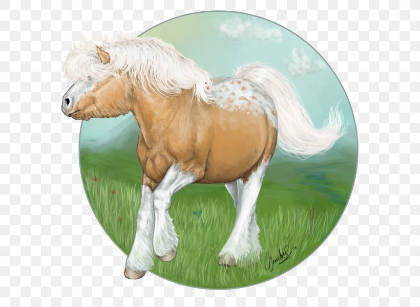 Mustang Stallion Foal Mare Pony, PNG, 600x600px, Mustang, Foal, Grass, Horse, Horse Like Mammal Download Free