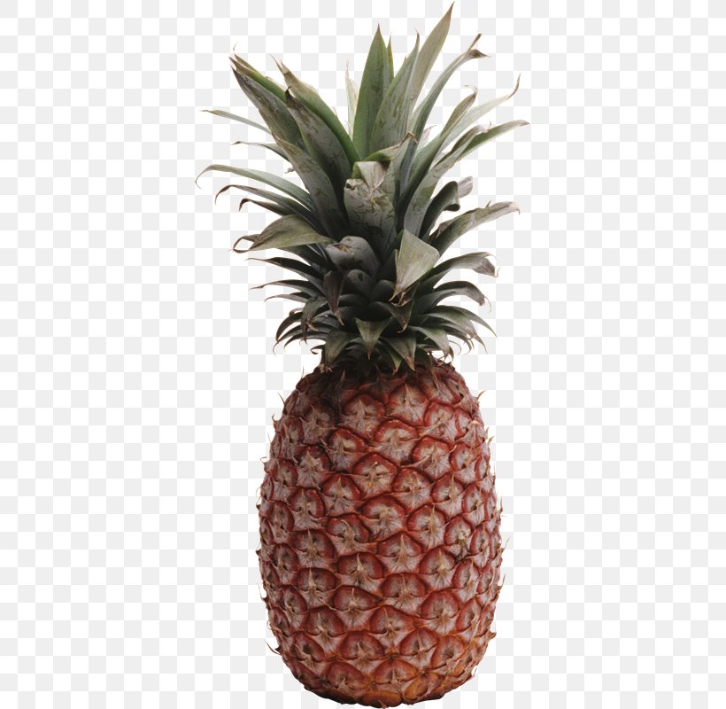 Pineapple Диеты? Диеты! Clip Art, PNG, 379x800px, Pineapple, Ananas, Book, Bromeliaceae, Diet Download Free