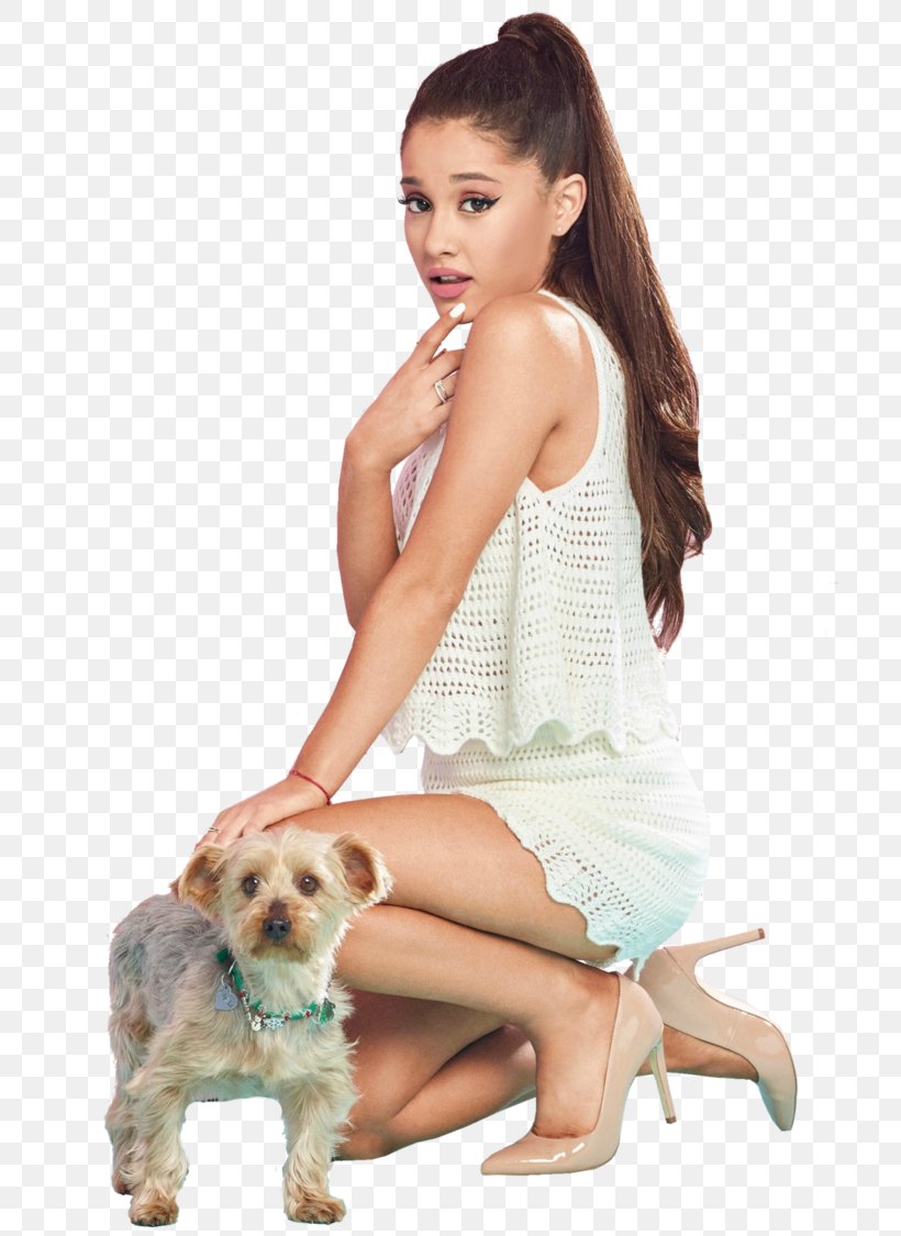 Ariana Grande Female Celebrity, PNG, 710x1125px, Watercolor, Cartoon, Flower, Frame, Heart Download Free
