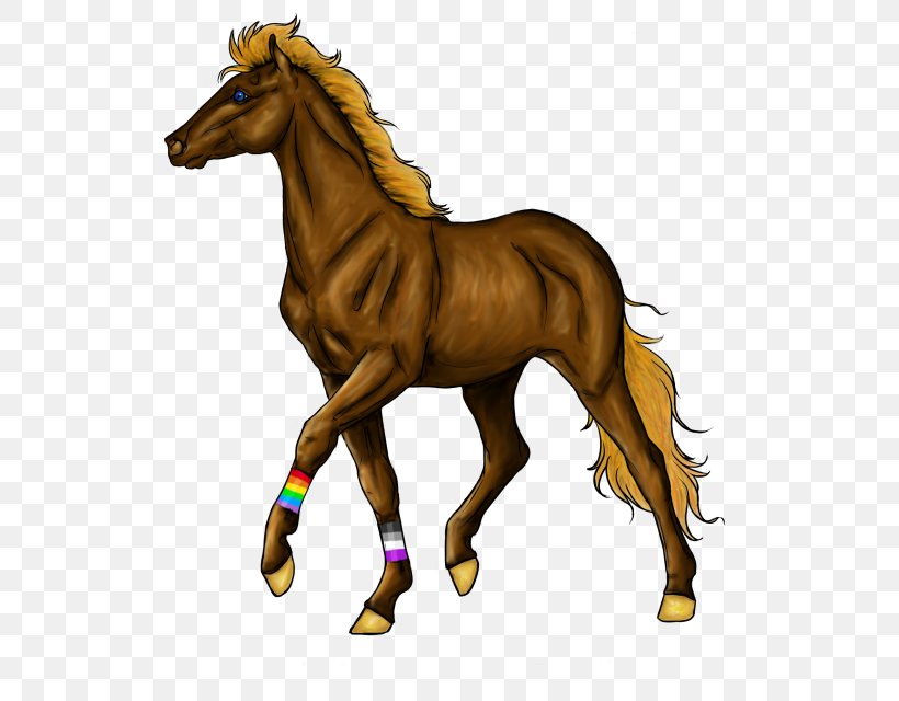 Mane Foal Pony Mustang Halter, PNG, 558x640px, Mane, Addon, Animal Figure, Artist, Bridle Download Free