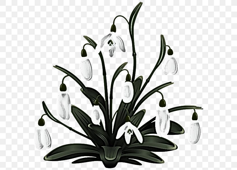 Plant Flower Black-and-white Leaf Clip Art, PNG, 600x588px, Plant, Blackandwhite, Flower, Flowering Plant, Leaf Download Free