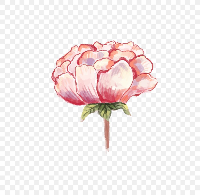 Watercolor: Flowers Watercolor Painting Peony, PNG, 800x800px, Watercolor Flowers, Cut Flowers, Floral Design, Floristry, Flower Download Free