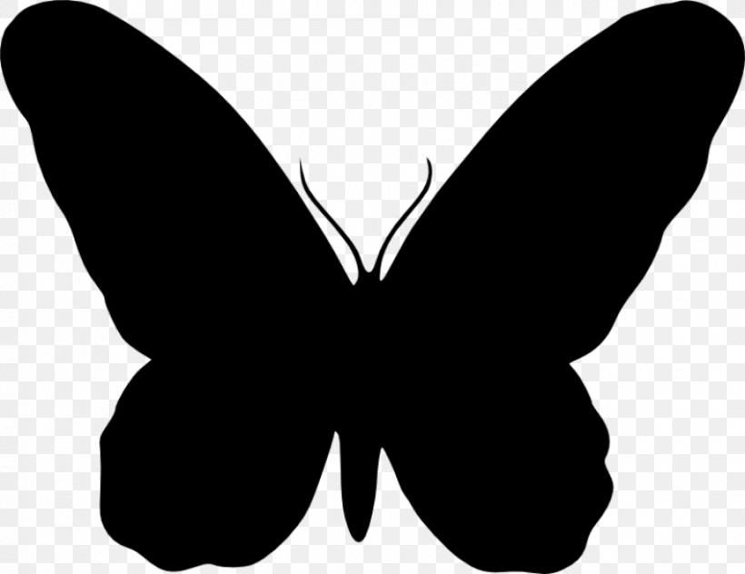 Butterfly Vector Graphics Clip Art Silhouette, PNG, 850x656px, Butterfly, Black, Blackandwhite, Cdr, Coreldraw Download Free