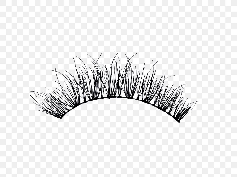 Eyelash Extensions Artificial Hair Integrations Mascara, PNG, 611x611px, Eyelash, Artificial Hair Integrations, Black And White, Color, Eye Download Free