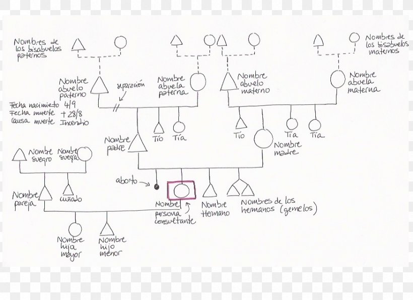 Family Tree Genealogy Genogram Family Constellations, PNG, 875x635px, Family Tree, Area, Diagram, Divorce, Drawing Download Free