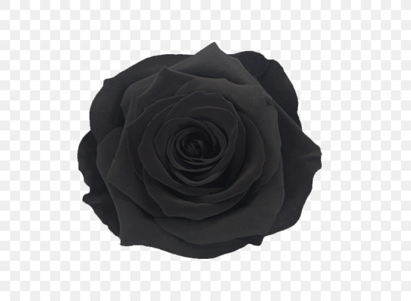 Black And White Flower, PNG, 600x600px, Garden Roses, Artificial Flower, Black, Blackandwhite, Box Download Free