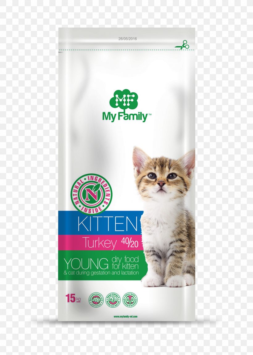 Kitten Whiskers Product, PNG, 1000x1402px, Kitten, Carnivoran, Cat, Cat Like Mammal, Small To Medium Sized Cats Download Free