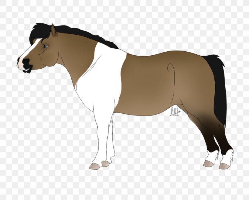 Mane Mustang Stallion Mare Rein, PNG, 997x801px, Mane, Bridle, Dog Harness, Halter, Horse Download Free