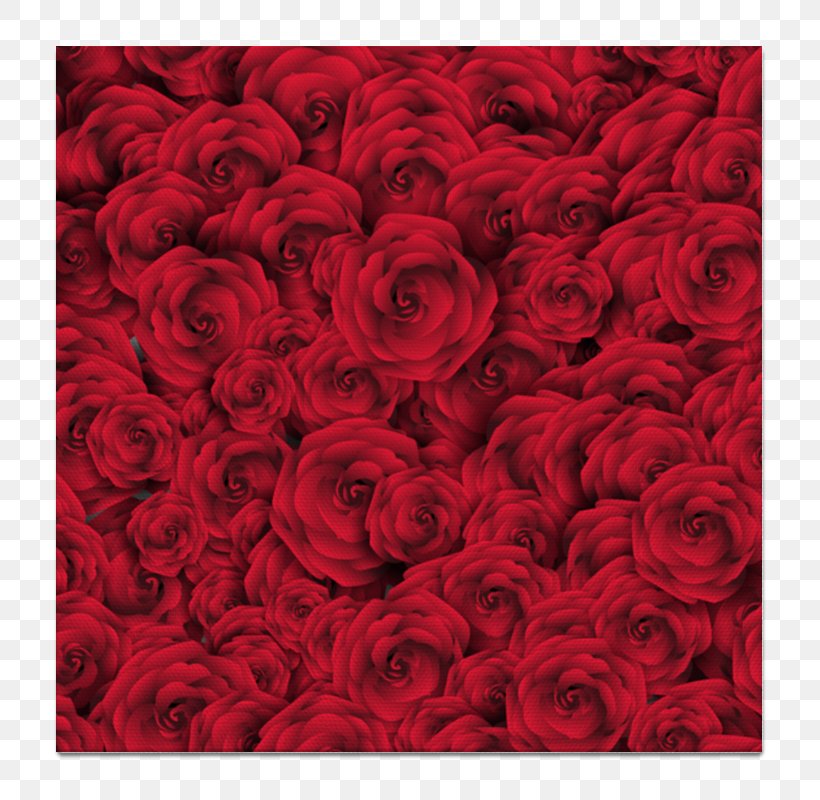 Rose Wallpaper Allah