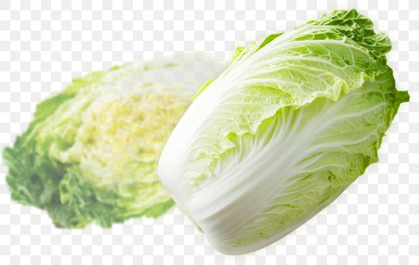 Romaine Lettuce Napa Cabbage Cruciferous Vegetables Savoy Cabbage Asazuke, PNG, 832x527px, Romaine Lettuce, Asazuke, Cabbage, Carbohydrate, Cruciferous Vegetables Download Free